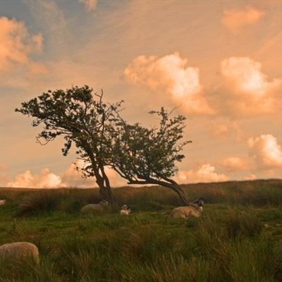 pg电子娱乐官网游戏app下载