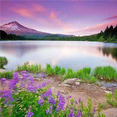 金星棋牌app下载